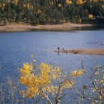 fishing, lake, trees, forest, human, person, solitary, solitude, conifers, coniferous, conifer forest, mountains, fall, autumn, nature, fishing, fishing, fishing, fishing, lake, solitude, solitude, solitude, solitude, solitude, fall, autumn, nature